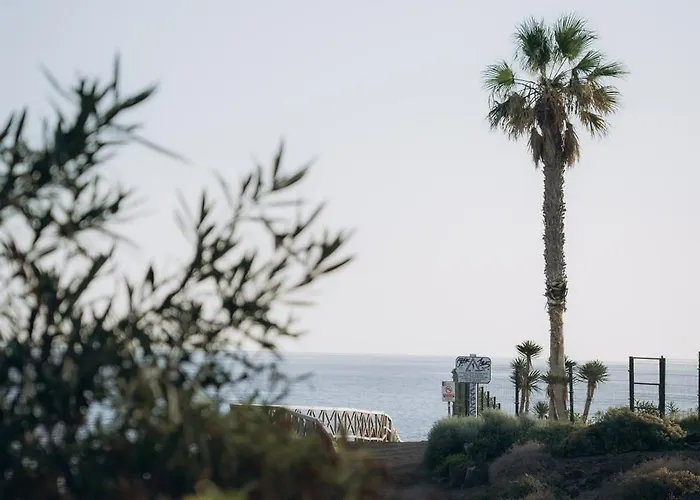 Alba Del Mar Private Heated Pool 20 M To The Ocean וילה *