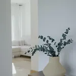 Alba Del Mar Private Heated Pool 20 M To The Ocean فيلة سان ميغيل ذي أبونا
